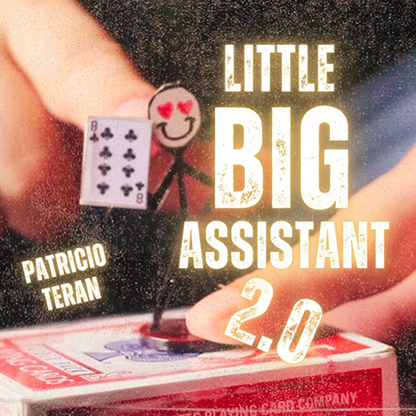 Se Little Big Assistant 2 by Patricio Teran video hos Startist