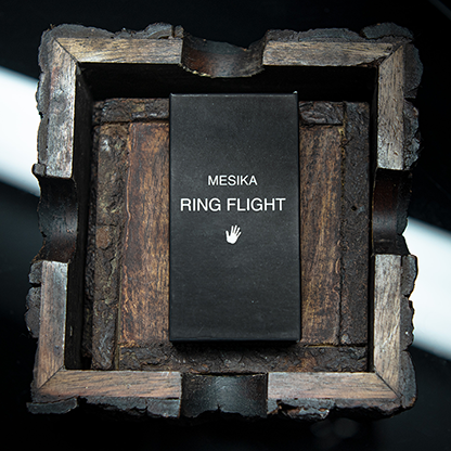 Billede af Mesika Ring Flight by Yigal Mesika